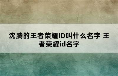 沈腾的王者荣耀ID叫什么名字 王者荣耀id名字